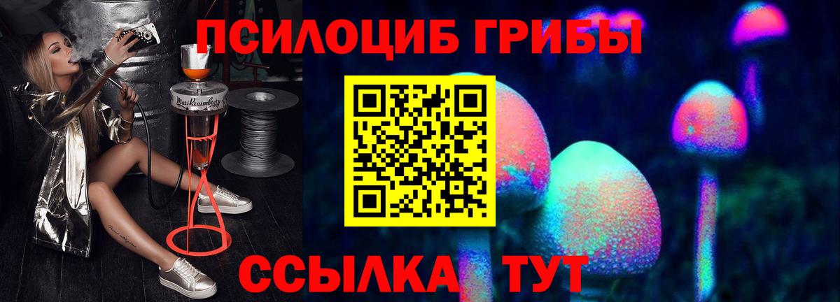 Псилоцибиновые грибы мухоморы Саранск